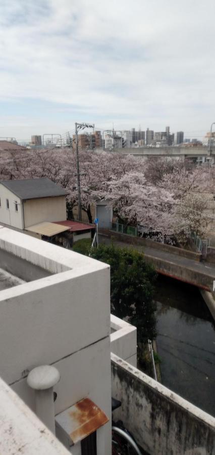 Cherry Blossom Koseicho Οκαγιάμα Εξωτερικό φωτογραφία
